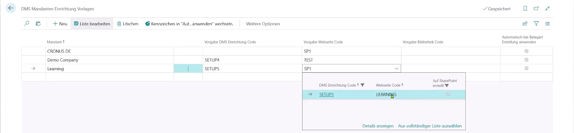 Zeigt die Liste "DMS Mandanten Einrichtung Vorlage" mit Zuordnungen von Mandanten, Einrichtungen und Webseiten.