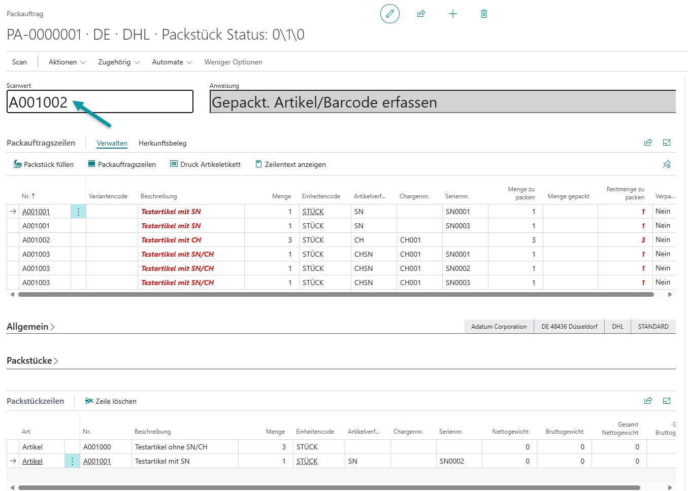 Verarbeitung der ersten Artikel und Zuordnung zu Packstücken im Register Packstücke