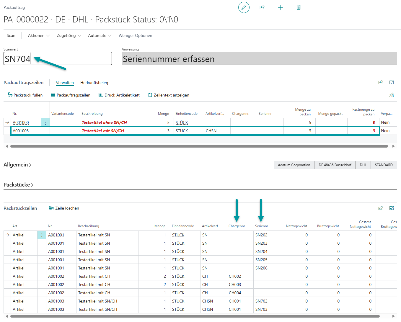 Zuordnung der verarbeiteten Artikel zu Packstücken im Register Packstücke