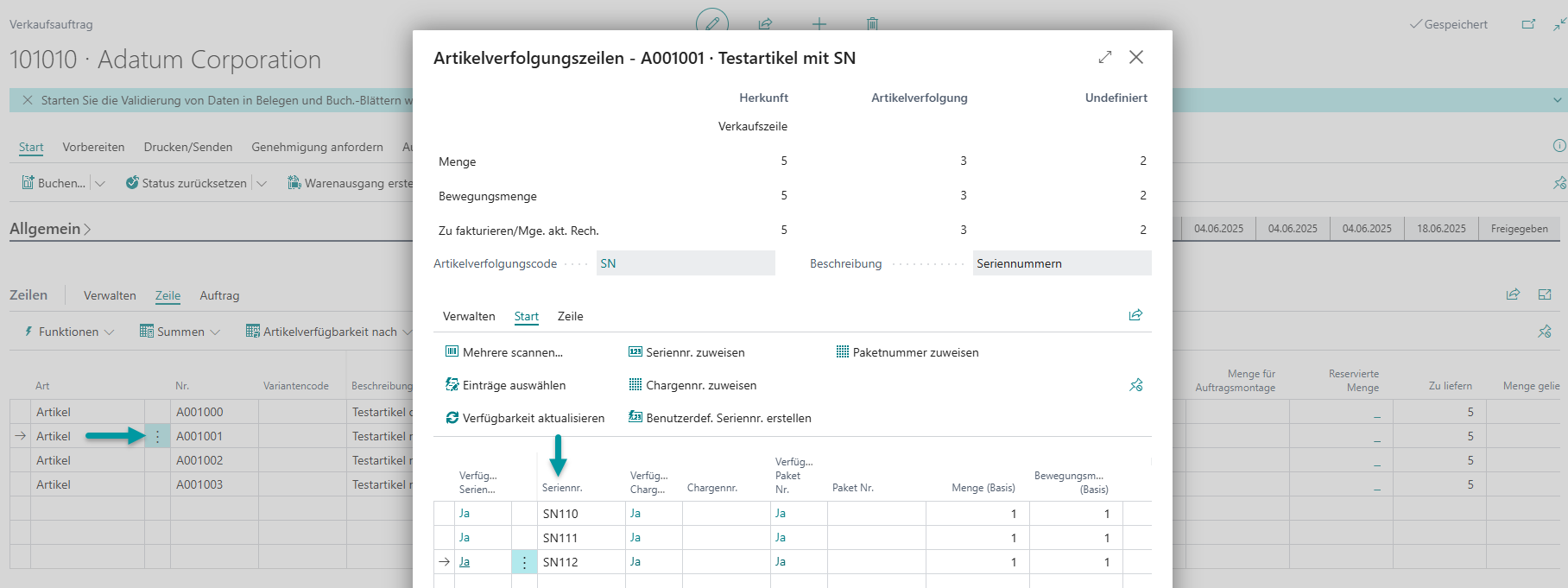 Vollständige Definition aller Artikelverfolgungsinformationen im Verkaufsauftrag